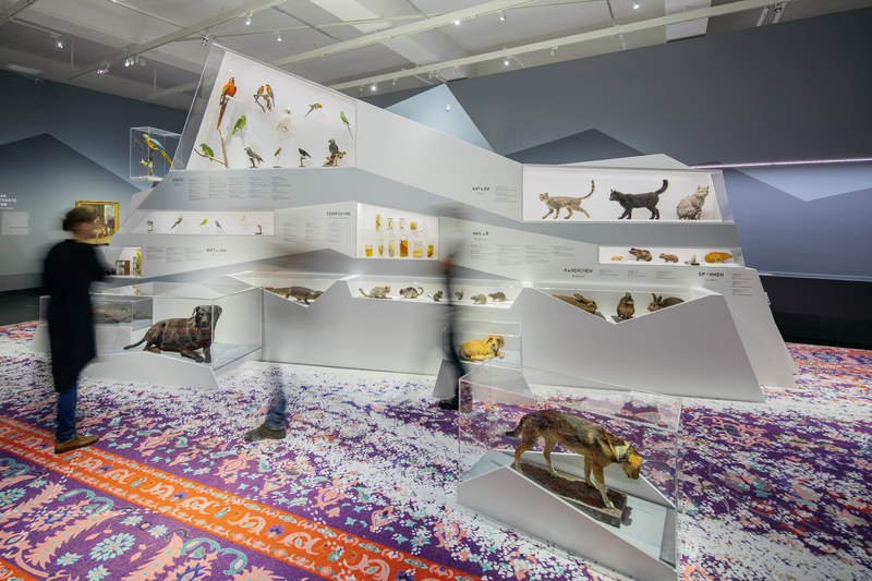 Multimediale Ausstellung Hygiene Museum Dresden Sonderausstellung Tierisch Beste Freunde Multimedia